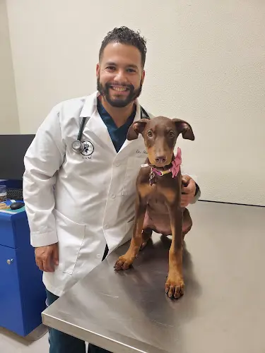 Pet boarding service Advanced Veterinary Medical Center Richmond