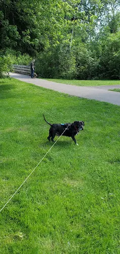 Dog Park Happy Valley Off Leash Dog Park Gresham