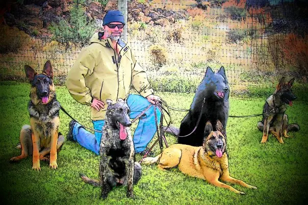 Dog day care center Cascadia Canine Training School Bend