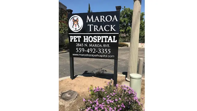 Dog day care center Maroa Track Pet Hospital Fresno