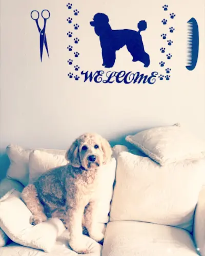Dog trainer Barks and Bubbles pet salon Salinas