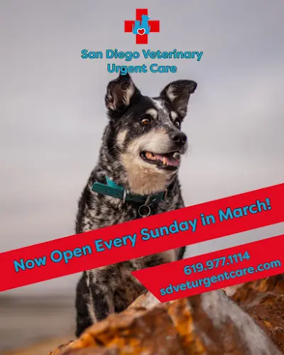 Pet boarding service San Diego Veterinary Urgent Care San Diego