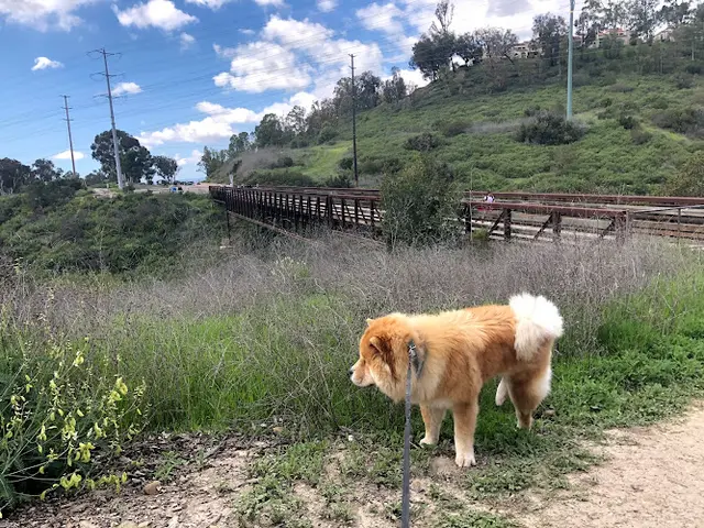 Dog Park Mission Trails Clairemont Mesa Trailhead San Diego