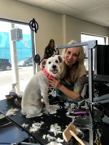 Dog Grooming Soggy Dog Pet Grooming Long Beach