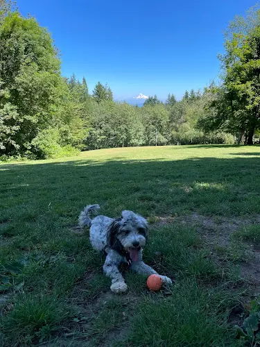 Dog Park Council Crest Park Gresham