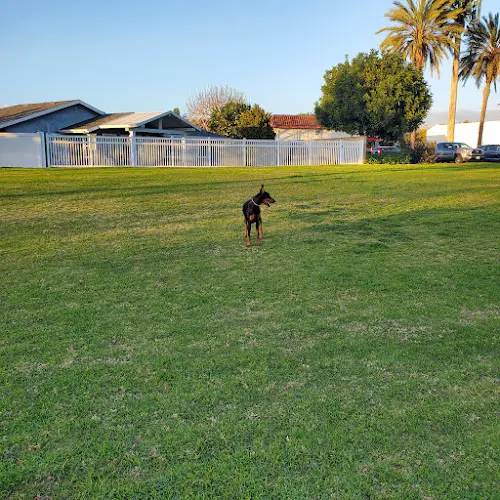 Dog Park Langenbeck Park Huntington Beach