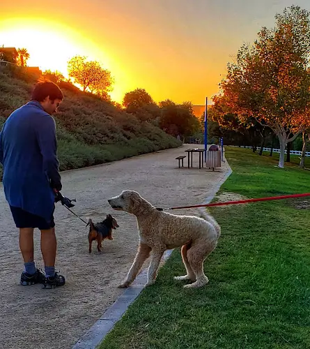 Dog Park Morgan Hill Park Temecula