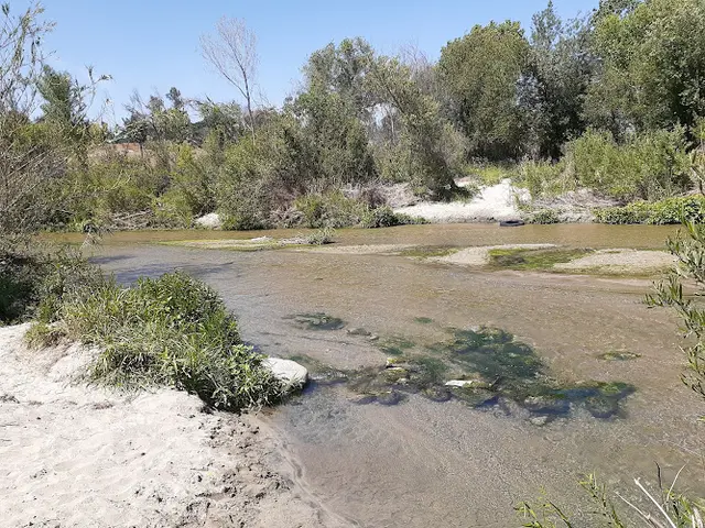 Dog Park Riverbed Park Riverside