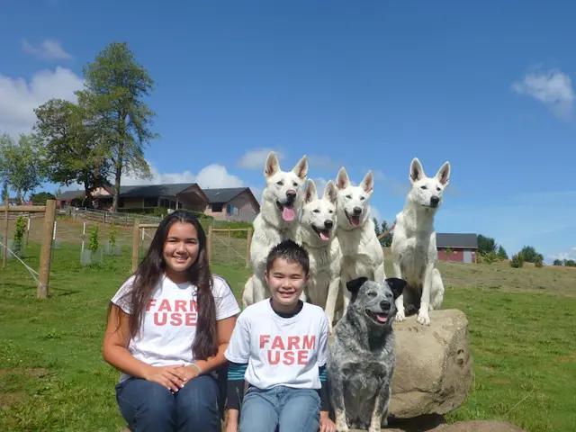 Dog breeder Heidenroslein German Shepherds LLC Federal Way