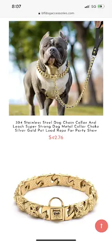 Dog trainer BFF Dog Accessories Santa Rosa