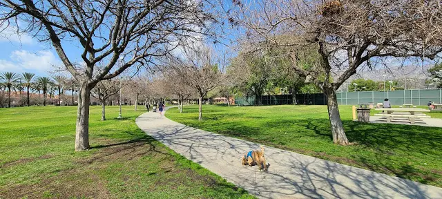 Dog Park McCambridge Recreation Center Burbank