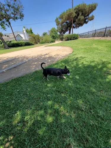 Dog Park Treasure Island Park Downey