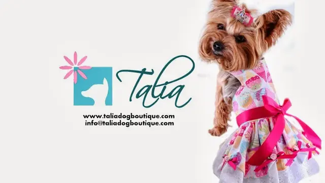 Pet boarding service Talia Dog Boutique San Marcos