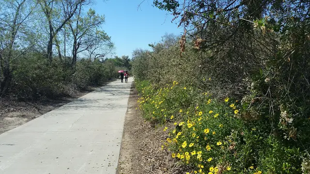 Dog Park Turtle Rock Preserve and Trail Irvine
