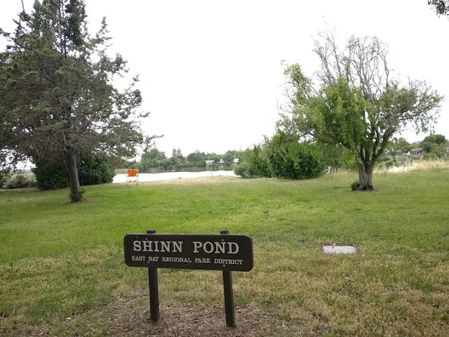 Dog Park Shinn Pond Fremont