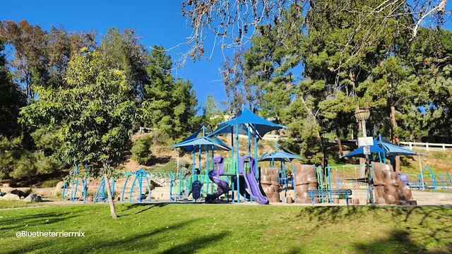 Dog Park Brace Canyon Park Burbank