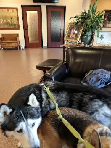 Pet vet VCA Village Park Animal Hospital Indio