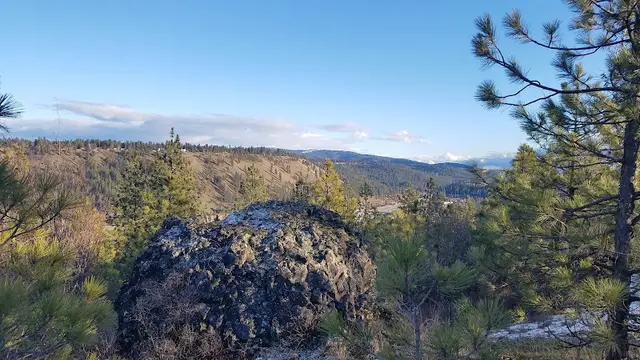 Dog Park Westwood Natural Area Spokane