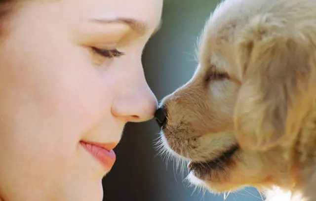 Pet vet Milwaukie Animal Clinic Gresham