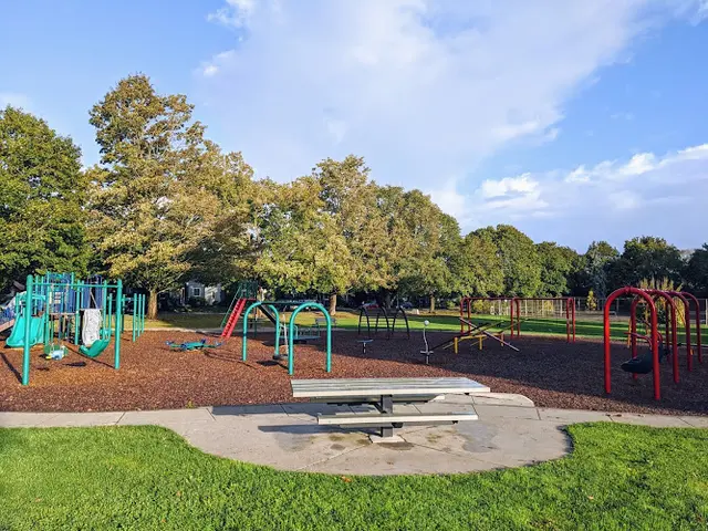 Dog Park Fernhill Park Portland