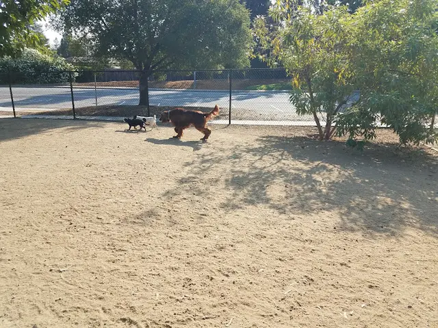 Dog Park Mary Avenue Dog Park Sunnyvale